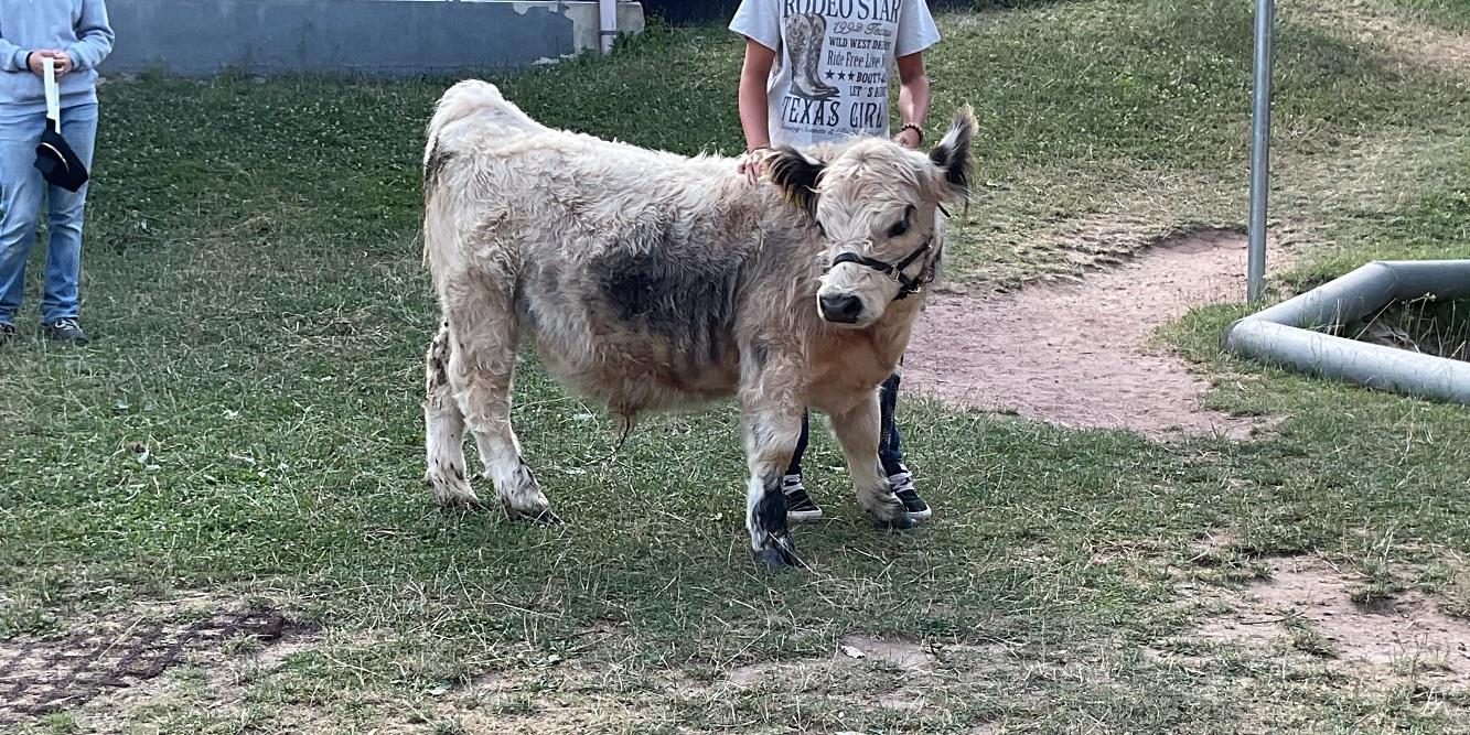 Basti (c) Katholische KiTa gGmbH Saarland Basti