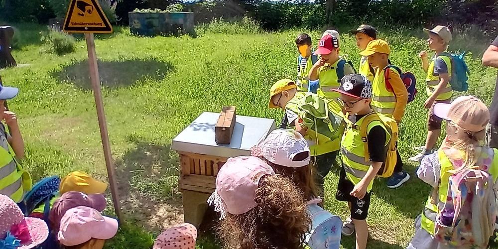 Gespannt lauschen die Kinder den Erklärungen des Imkers (c) Katholische KiTa gGmbH Saarland Gespannt lauschen die Kinder den Erklärungen des Imkers