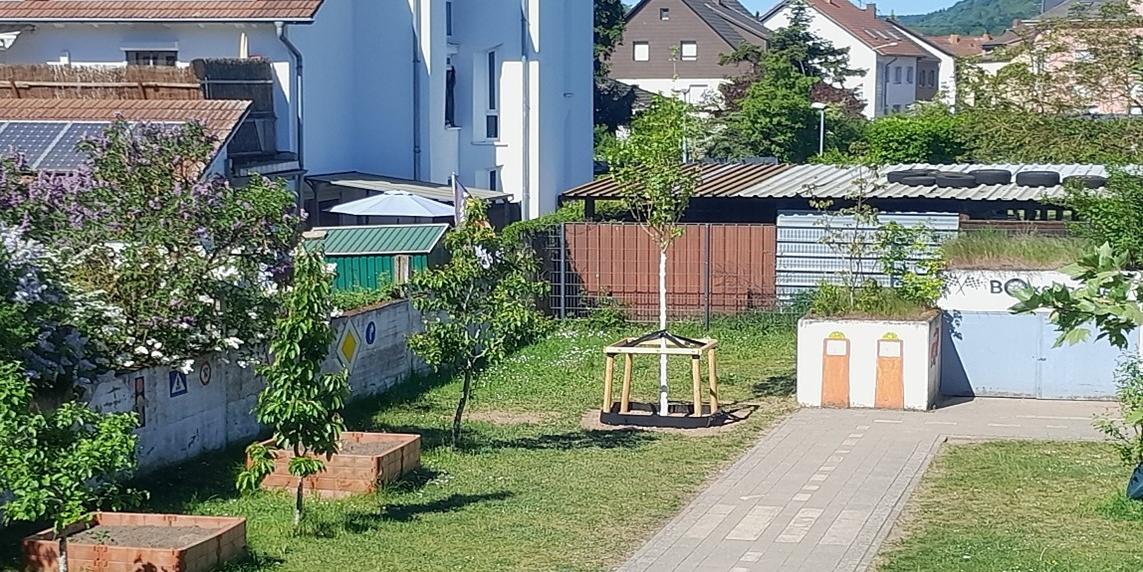 Vier neue Bäume wurden gepflanzt