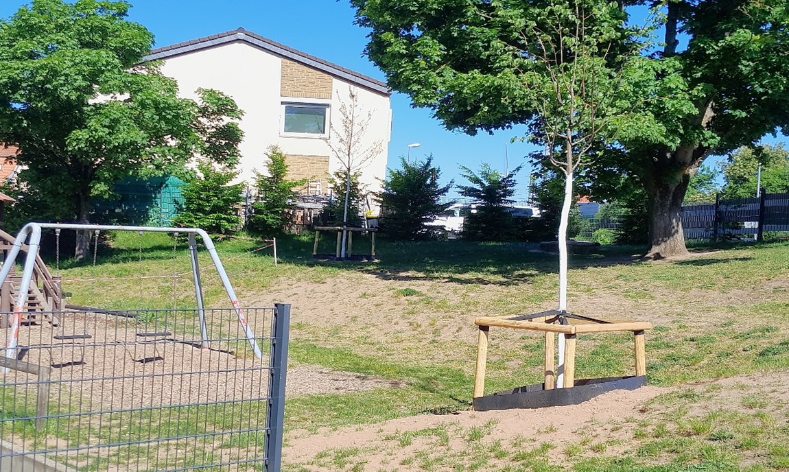 Die Bäume sollen für Schatten an sonnigen Tagen sorgen