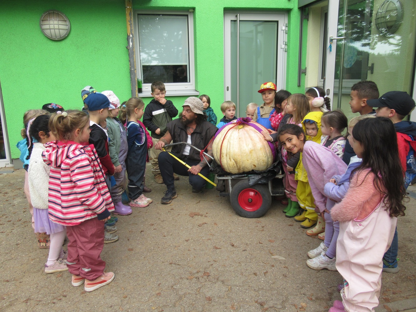 Dillingen-Kürbisbild Riesenkürbis