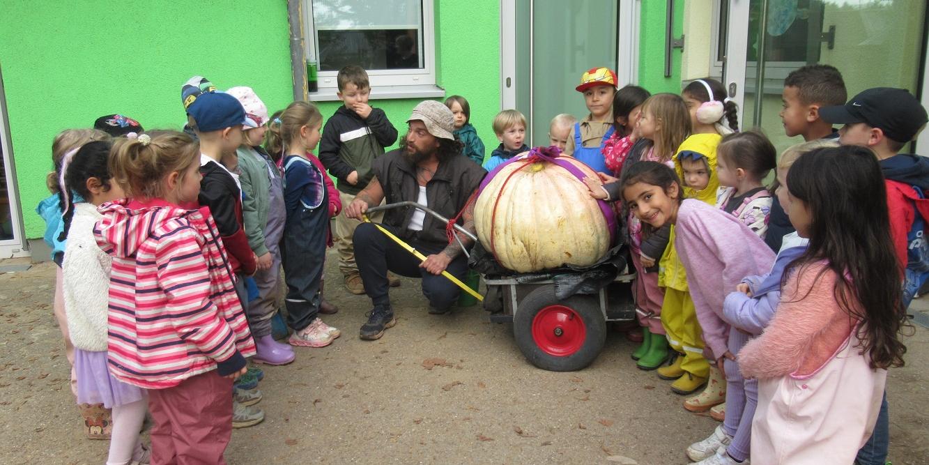 Dillingen-Kürbisbild Riesenkürbis (c) Katholische KiTa gGmbH Saarland Dillingen-Kürbisbild Riesenkürbis