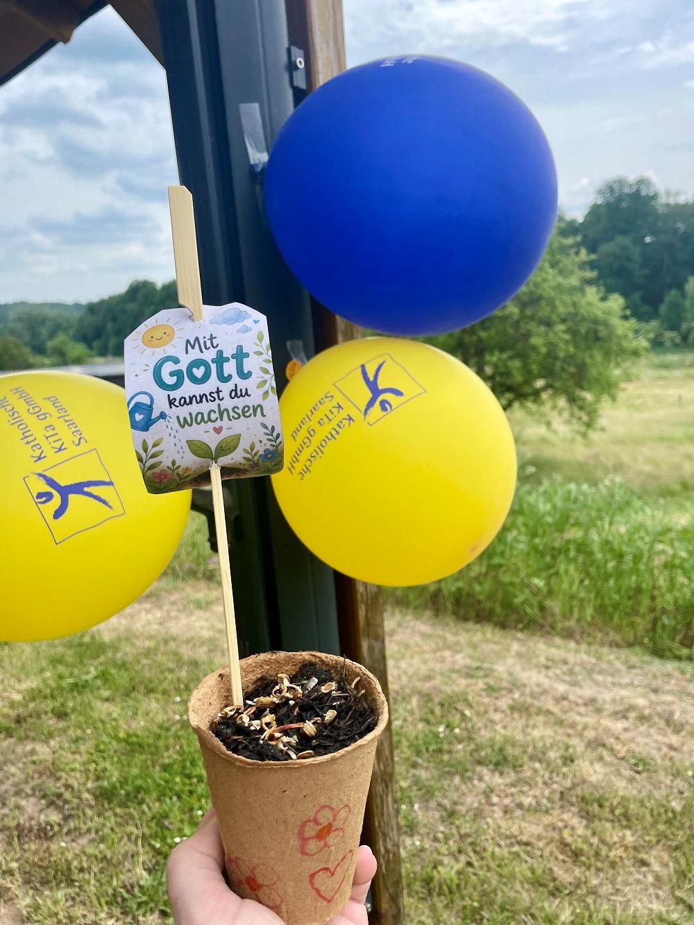 Die Kinder bepflanzten Blumentöpfe mit Wildblumensamen (c) Katholische KiTa gGmbH Saarland Die Kinder bepflanzten Blumentöpfe mit Wildblumensamen