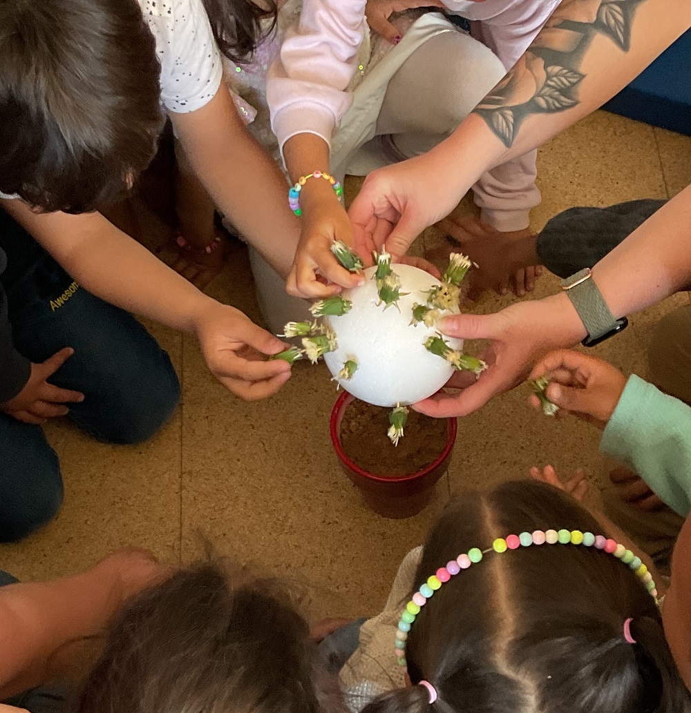 Ein Highlight was ein Pusteblumen-Experiment