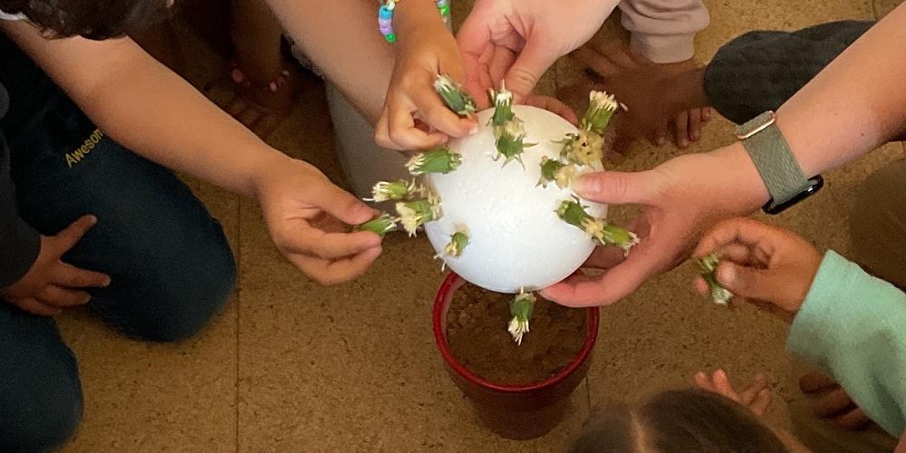 Ein Highlight was ein Pusteblumen-Experiment