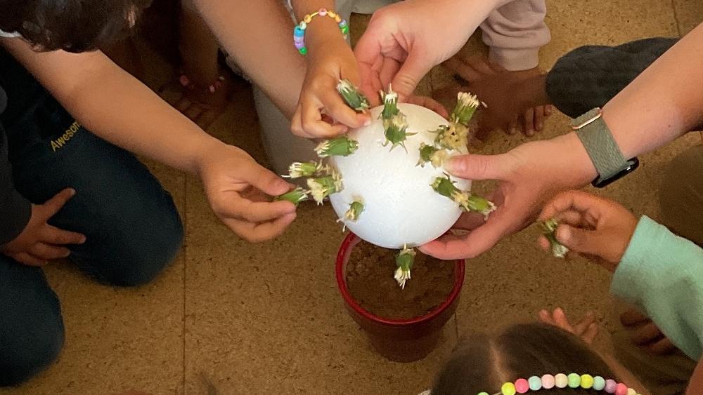 Ein Highlight was ein Pusteblumen-Experiment