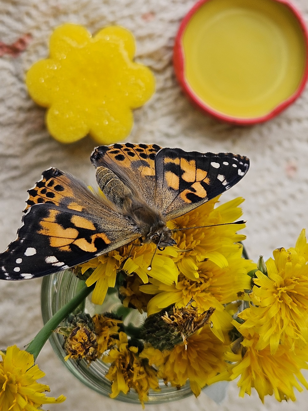 Der Gottesdienst stand unter dem Motto 'Von der Raupe zum Schmetterling'
