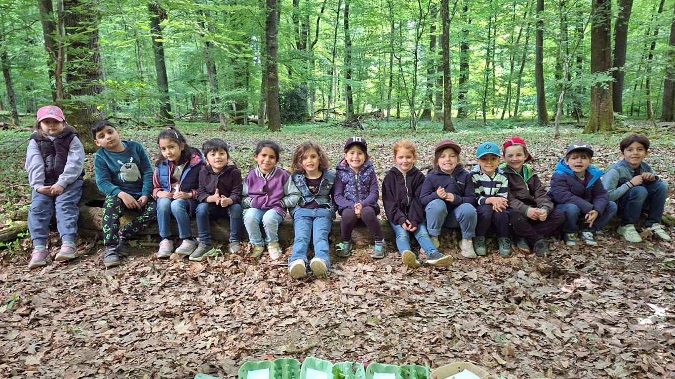 Viel Spaß an der frischen Luft hatten die Vorschulkinder bei ihrem Waldausflug