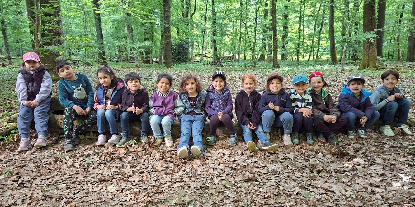 Viel Spaß an der frischen Luft hatten die Vorschulkinder bei ihrem Waldausflug (c) Katholische KiTa gGmbH Saarland Viel Spaß an der frischen Luft hatten die Vorschulkinder bei ihrem Waldausflug