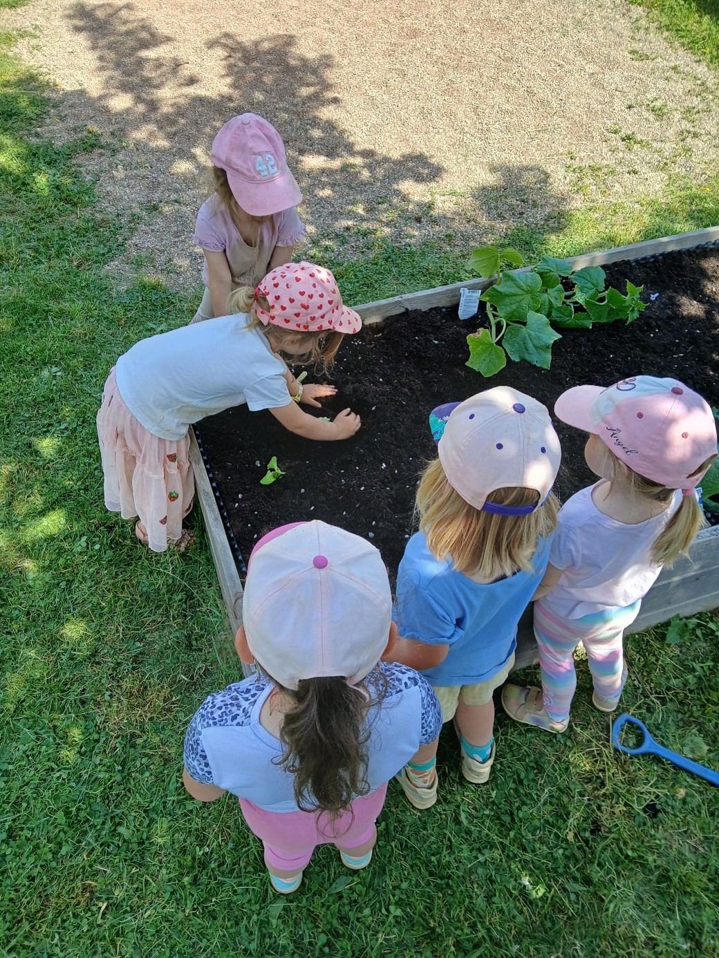Die Kinder freuen sich auf ihre Ernte (c) Katholische KiTa gGmbH Saarland Die Kinder freuen sich auf ihre Ernte