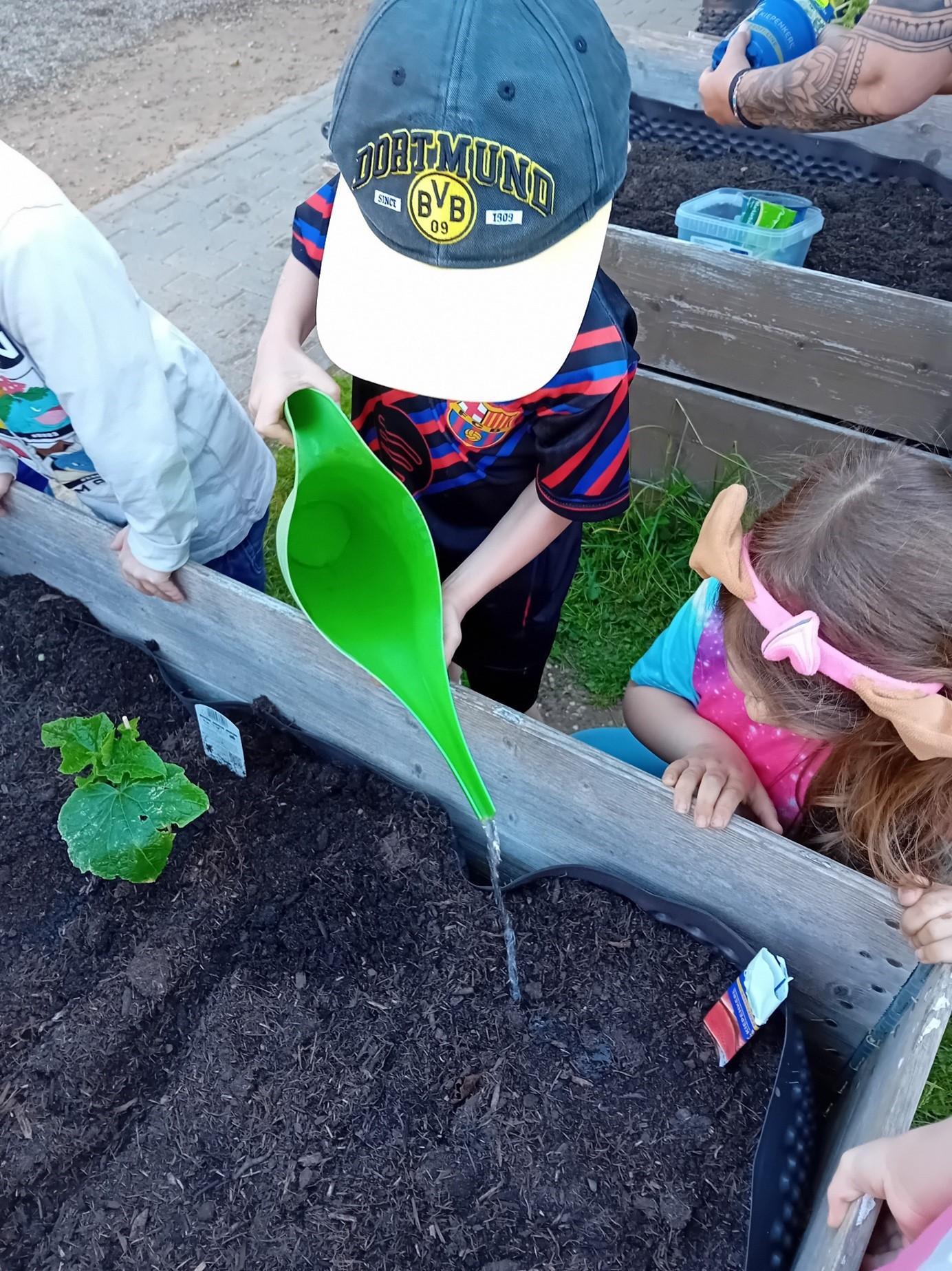 Die Kinder bepflanzten fleißig ihre neuen Hochbeete