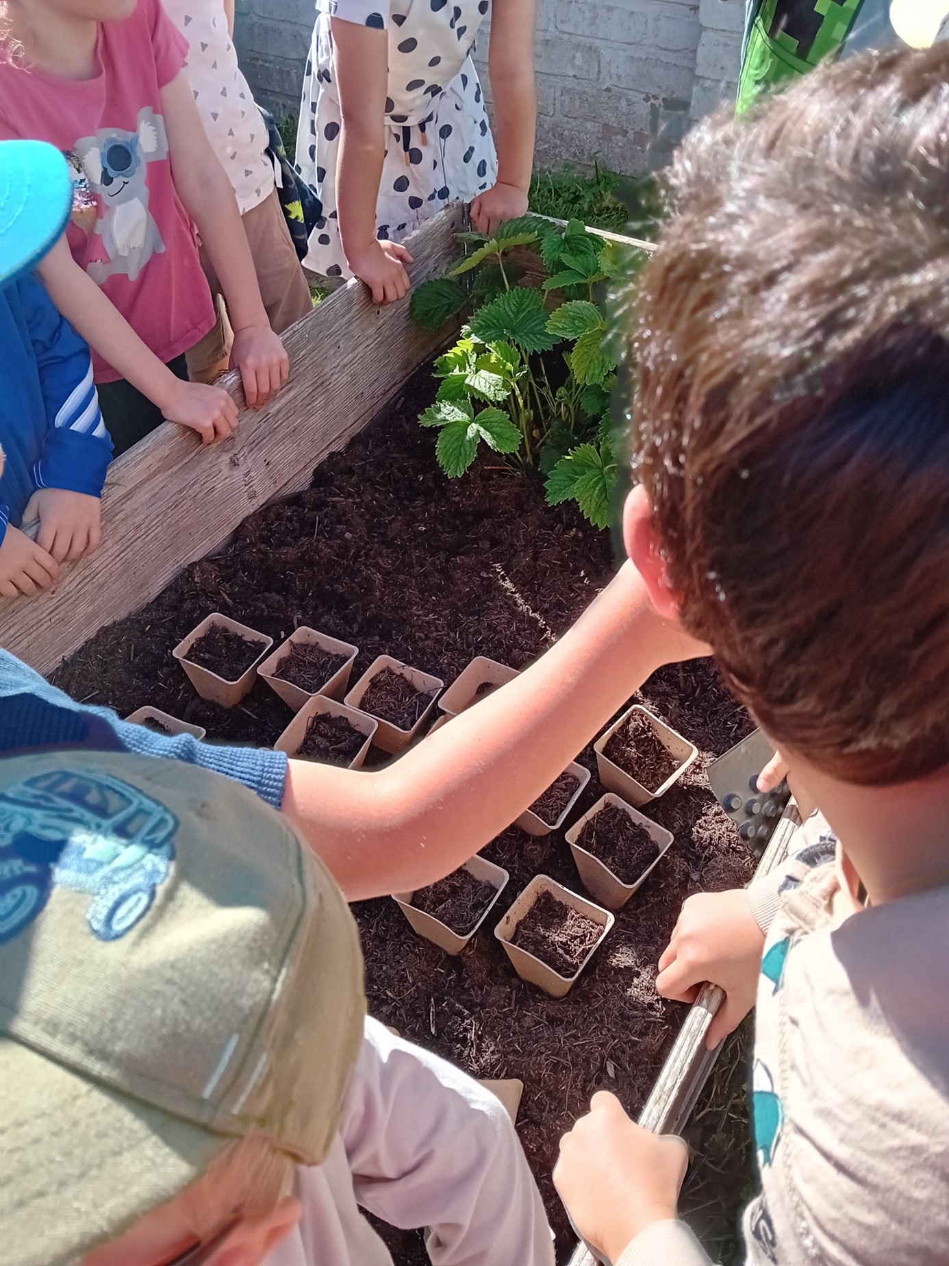 Die Kinder lernen so, nachhaltig zu leben (c) Katholische KiTa gGmbH Saarland Die Kinder lernen so, nachhaltig zu leben