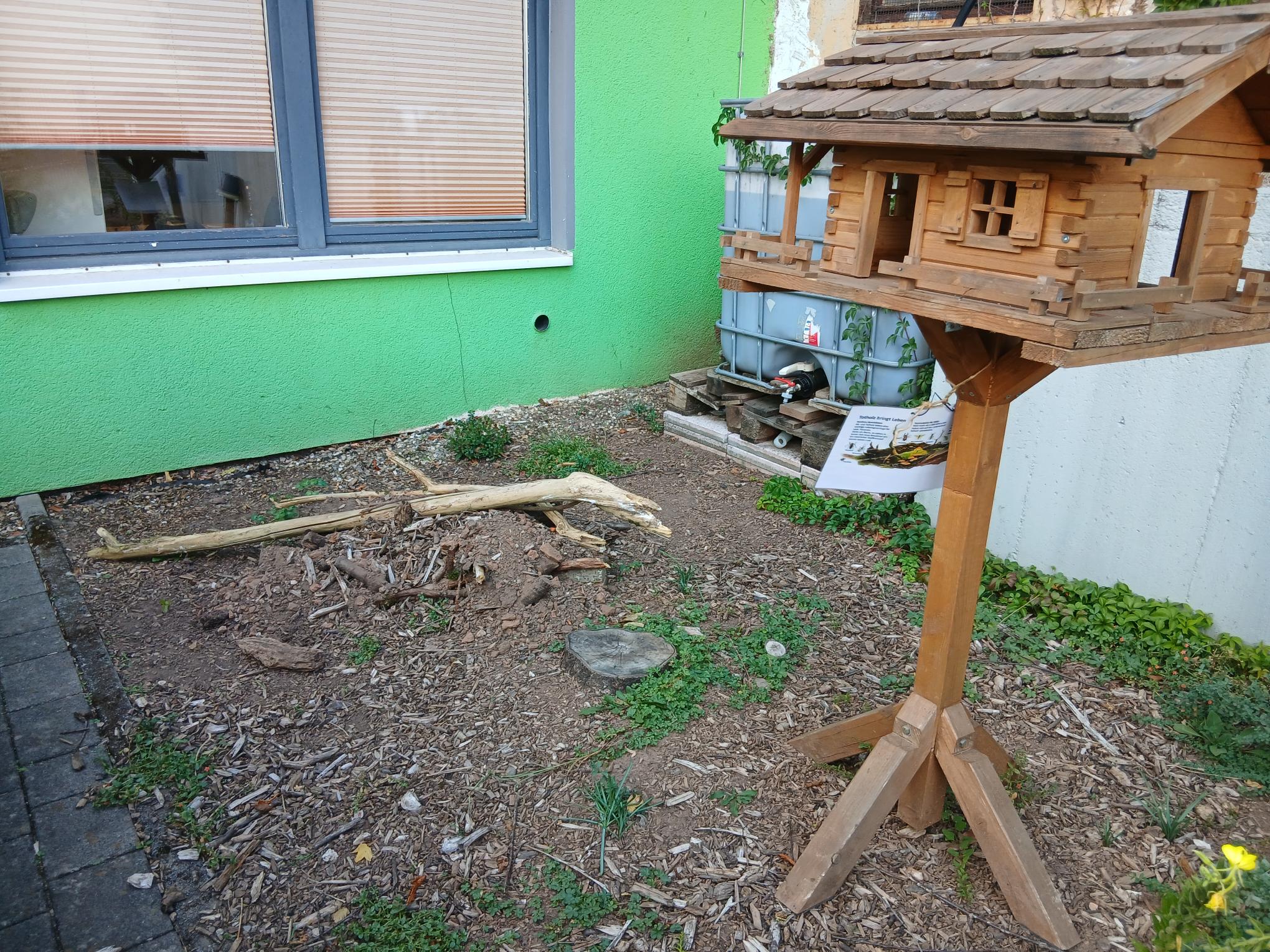 Die Kinder haben eine Eidechsen- und eine Käferhöhle angelegt