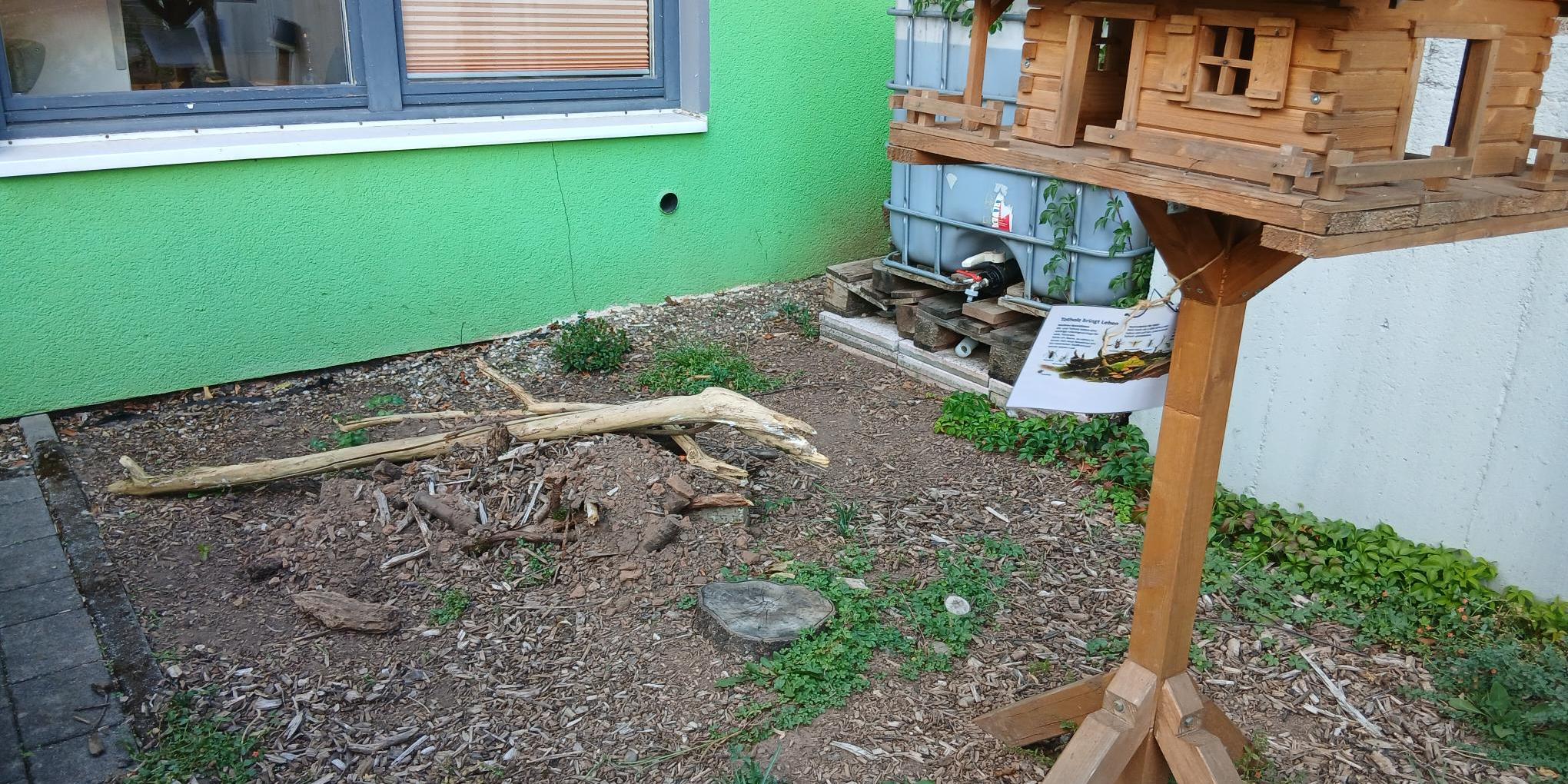 Die Kinder haben eine Eidechsen- und eine Käferhöhle angelegt (c) Katholische KiTa gGmbH Saarland Die Kinder haben eine Eidechsen- und eine Käferhöhle angelegt