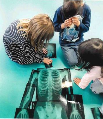 Die Kinder lernten, wie ein Skelett aussieht