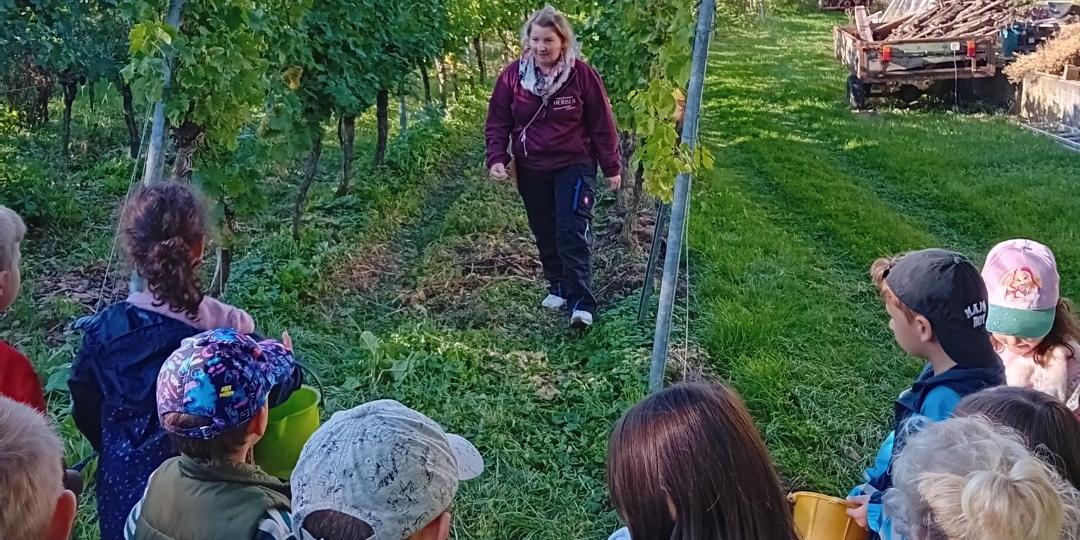 Perl-Ausflug-Weingut-2