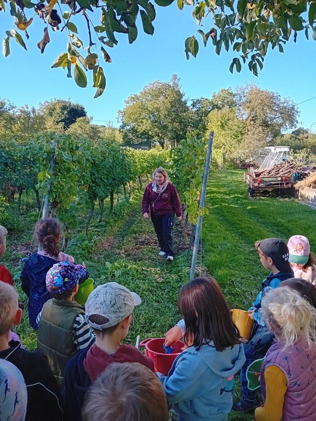 Perl-Ausflug-Weingut-2