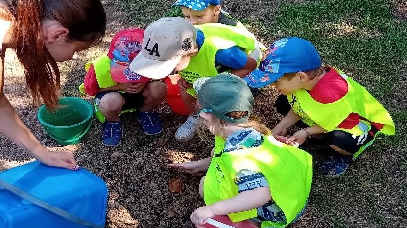 Auf der Wiese suchten die Kinder Regenwürmer