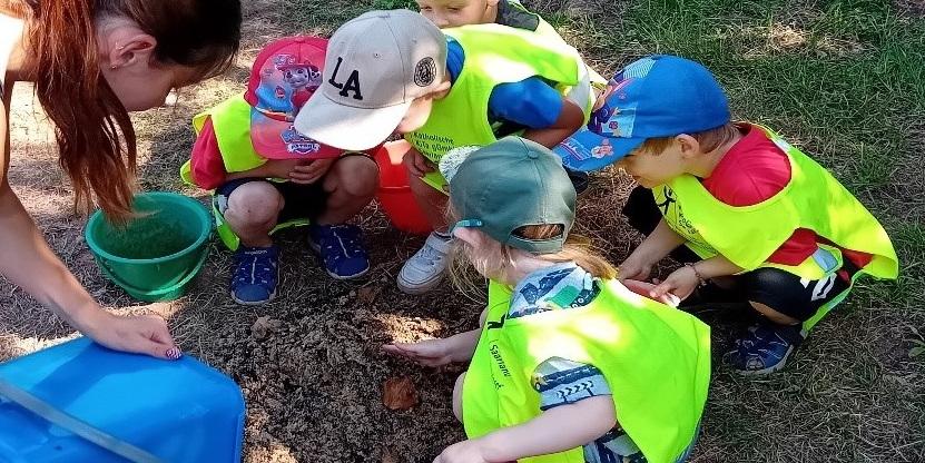 Auf der Wiese suchten die Kinder Regenwürmer (c) Katholische KiTa gGmbH Saarland Auf der Wiese suchten die Kinder Regenwürmer