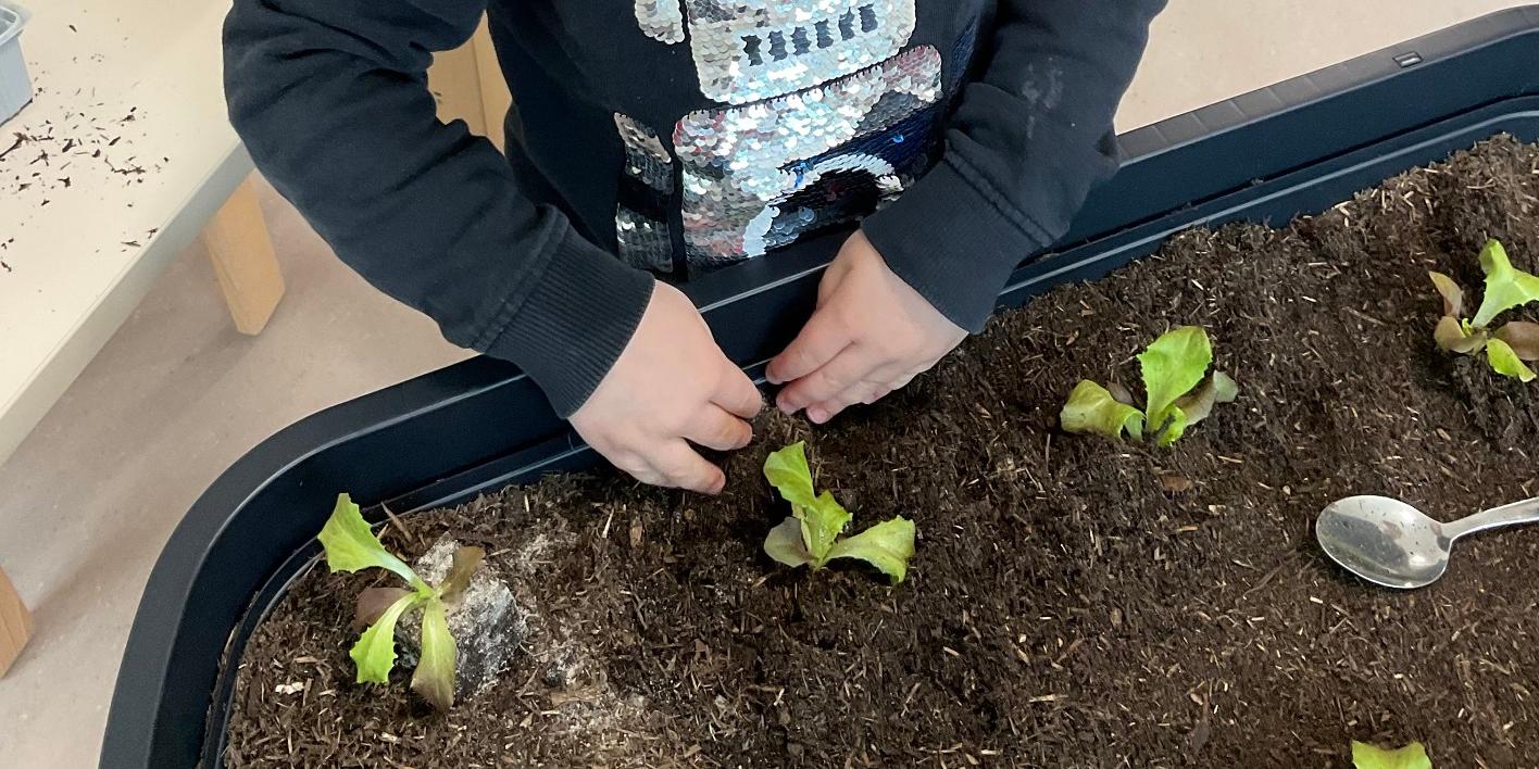 Dank der Spende des Fördervereins können die Kinder jetzt ihre Beete bepflanzen