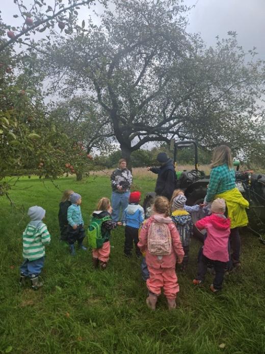 Alle Kinder sammelten fleißig die reifen Äpfel