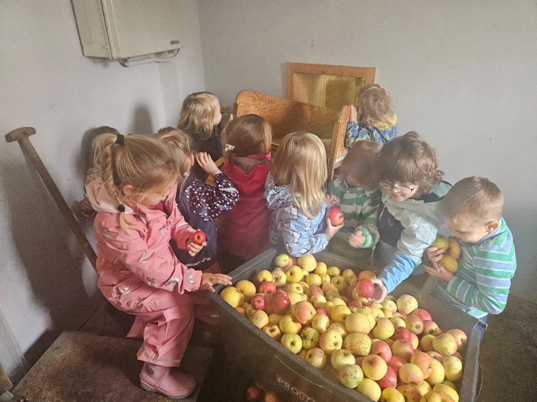 Die geernteten Äpfel wurden direkt zu Saft verarbeitet