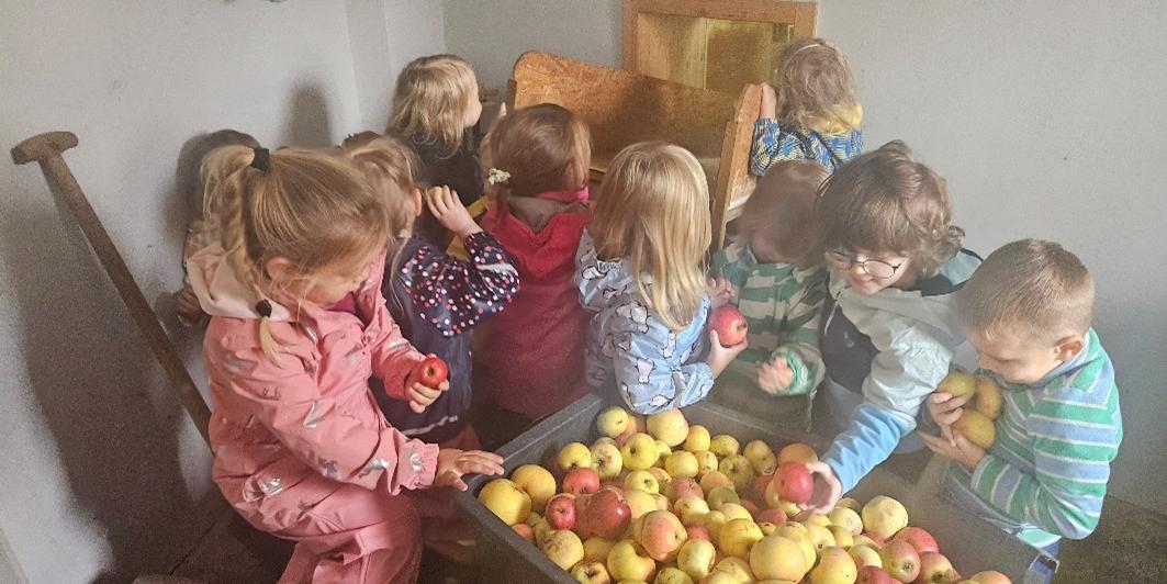 Die geernteten Äpfel wurden direkt zu Saft verarbeitet