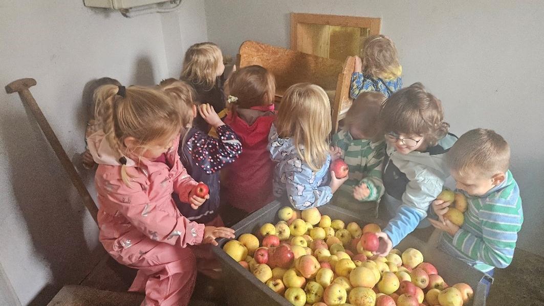 Die geernteten Äpfel wurden direkt zu Saft verarbeitet