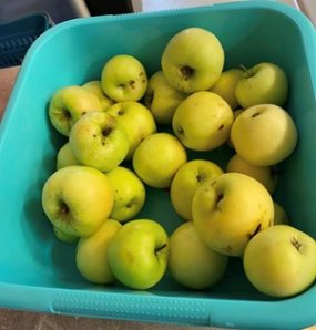 St-Josef-Diefflen-Apfelspende