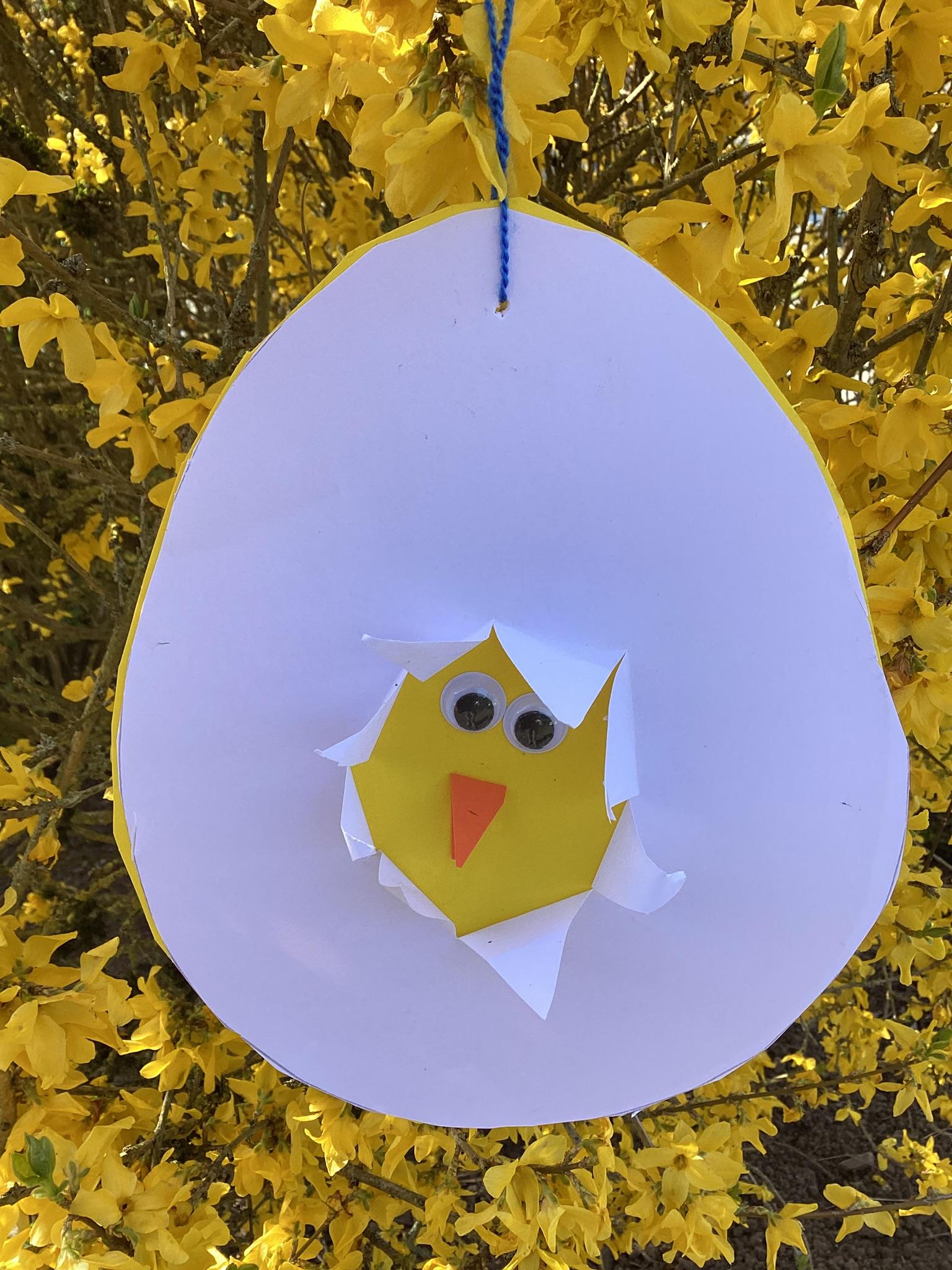 Die Kinder lernten, wie die Küken aus dem Ei kommen.