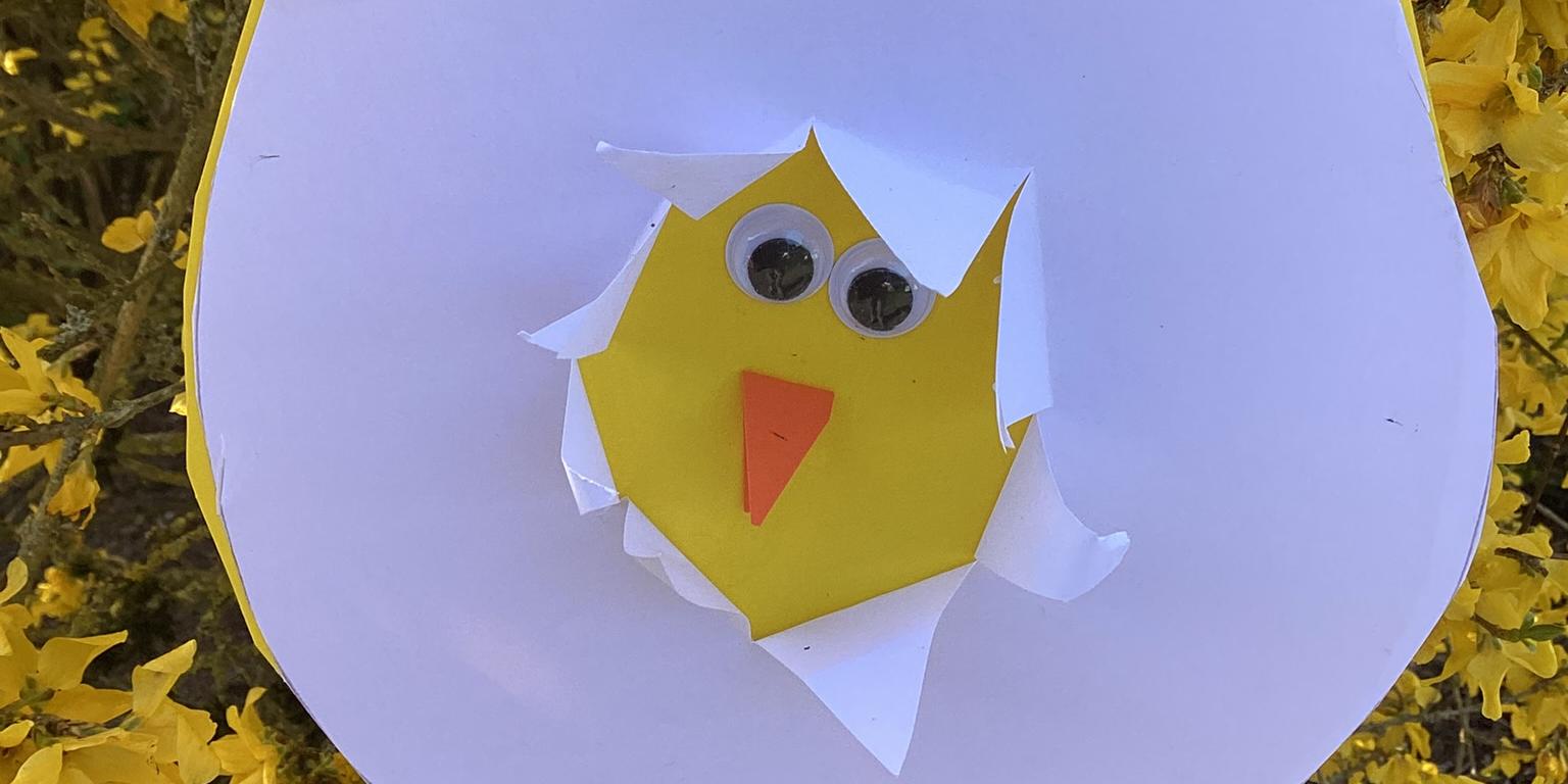 Die Kinder lernten, wie die Küken aus dem Ei kommen.