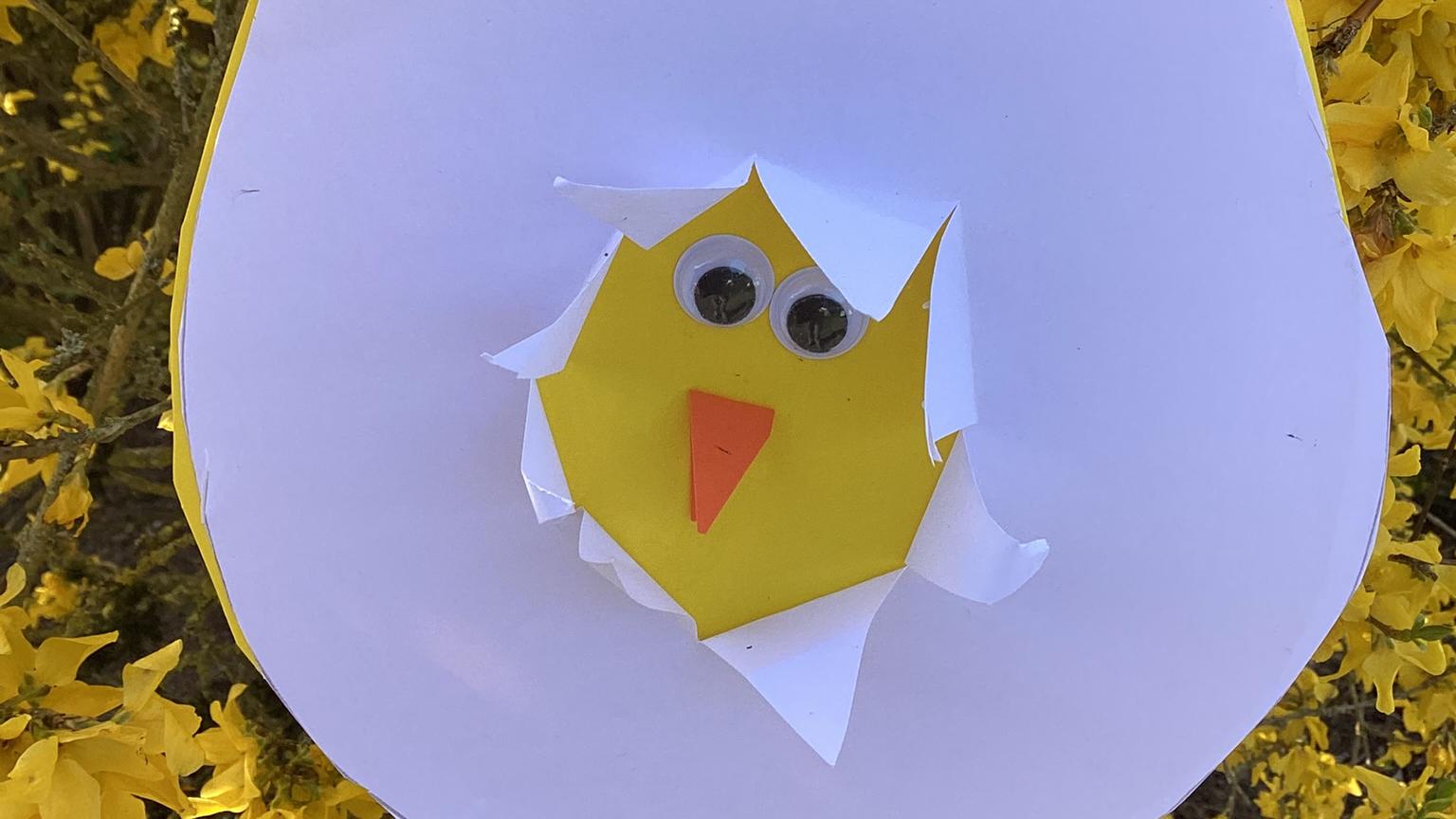 Die Kinder lernten, wie die Küken aus dem Ei kommen.